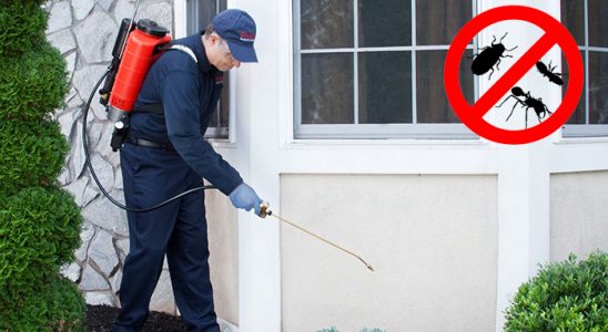 Hamur Böcek İlaçlama böcek ilaçlama ve haşere kontrolü — ilaclama-tr.com
